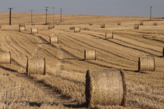 Μελέτη - κόλαφος για την κυβέρνηση Μητσοτάκη